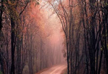 ag米兰：2025张家界武陵源马拉松开跑 肯尼亚选手包揽男、女冠军3-30 20：28.