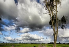 2025年01月11日球会友谊赫曼施塔特vs费尔干纳夫兹历史战绩，交战记录，比分预测.