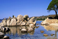 ag米兰：2024中国金球奖各奖项前三揭晓2025-01-15.